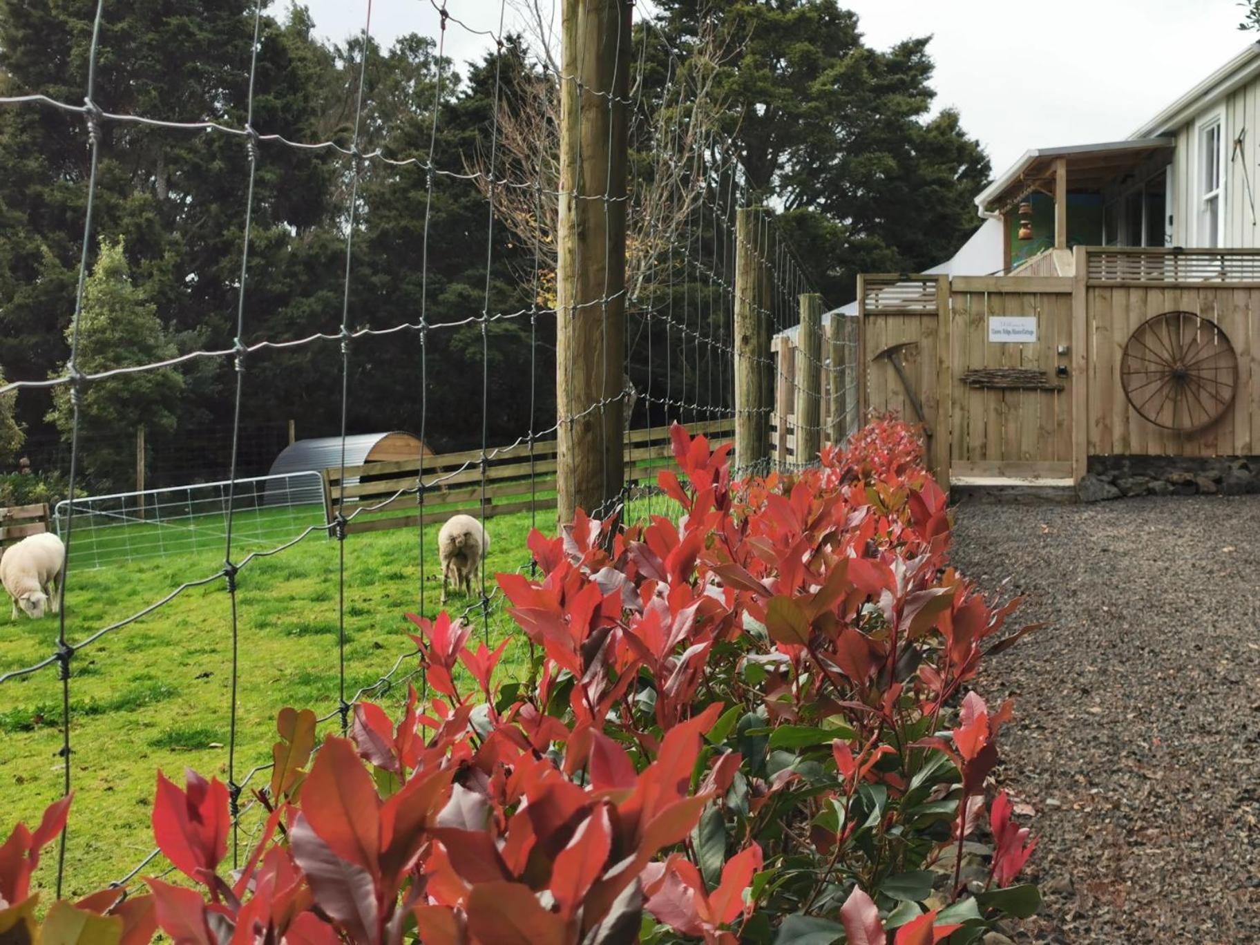 Crown Ridge Miners Cottage Karangahake Exterior photo